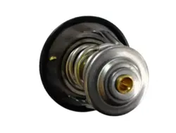 ترموستات گریت وال ولکس C30