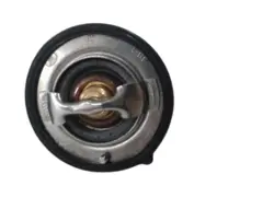 ترموستات جک S5