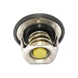 ترموستات آریو (Z300)