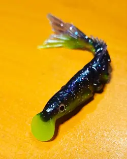 لور ژله ای لیب دار برند آلبااستار کد 1399