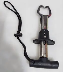 گاف گیره ای ( ماهی کِش )