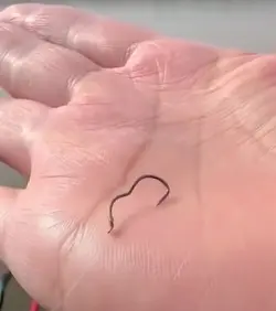 قلاب فرم دار FLIP