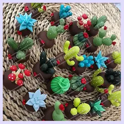 کاکتوس فانتزی