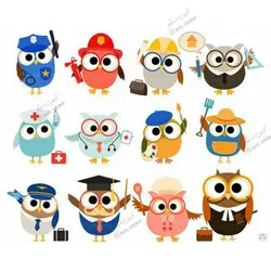 معرفی مشاغل جغد ها