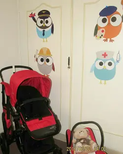 معرفی مشاغل جغد ها