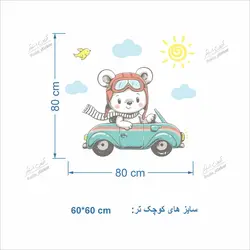 تدی شوفر کُد (3)