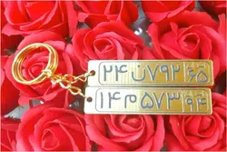 جاسوئیچی پلاک