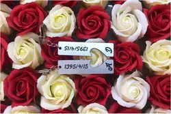 جاسوئیچی قلبی