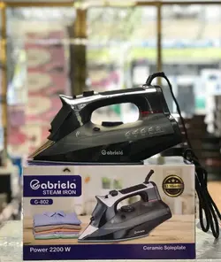 اتو بخار حرفه سنگين لندگرين يا LG