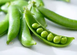 بذر نخود فرنگی (10 عددی) Pisum sativum