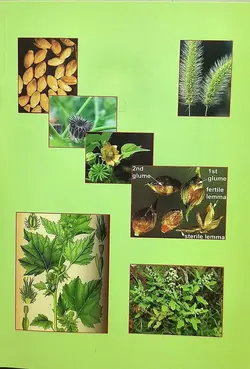 کتاب علف های هرز و مدیریت آن در مزارع سویا