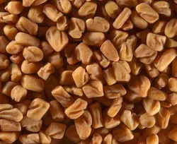 بذر شنبلیله (10 عددی) Trigonella foenum-graecum