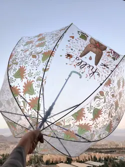 چتر شیشه ای خرگوش