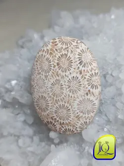 نگین فسیل مرجان اندونزی