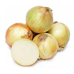 پیاز زرد کله