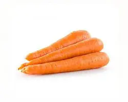 هویج - فروش عمده