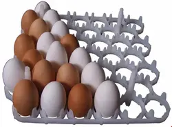 شانه 42 عددی تخم مرغ و اردک