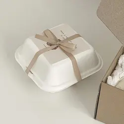 لانچ باکس یا ظرف بنتو کیک