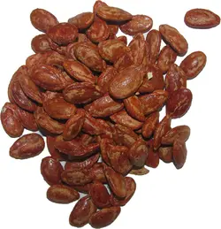 تخمه ژاپنی شور