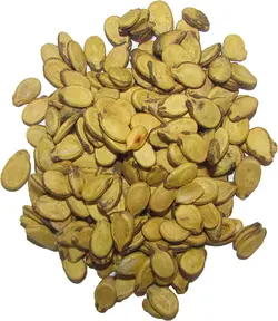 تخمه محبوبی زرد