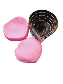 مولد وینر و کاتر رز