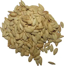 تخمه کدوریز شور