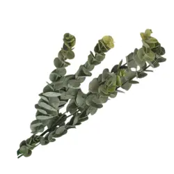 گل اکالیپتوس مصنوعی مدل مات