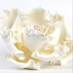 کاتر وینر پیونی 4 عددی