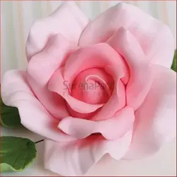 کاتر وینر گل رز