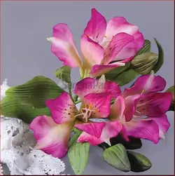 کاتر وینر گلایل