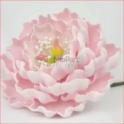 کاتر وینر پیونی 5 عددی