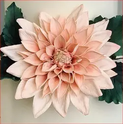 ست کاتر وینر کوکب 5 عددی