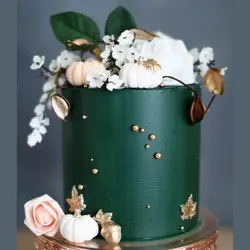 رنگ خوراکی کپی کیک (25 رنگ مختلف)