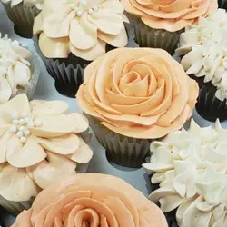 رنگ خوراکی کپی کیک (25 رنگ مختلف)