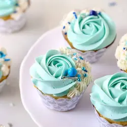 رنگ خوراکی کپی کیک (25 رنگ مختلف)