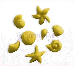 مالد ستاره دریایی و صدف