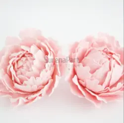 کاتر وینر پیونی 3 تایی