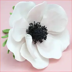 کاتر وینر انموان