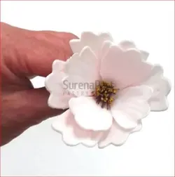 کاتر وینر کیهان