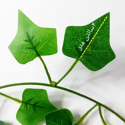 ریسه برگ پاپیتال کد leaf2