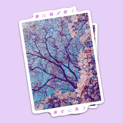 استیکر Aesthetic کد C75