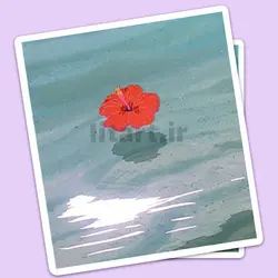 استیکر Aesthetic کد C66