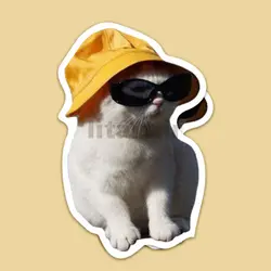 استیکر VSCO کد B20