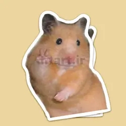 استیکر VSCO کد B8