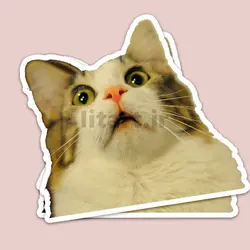 استیکر Animal کد am26