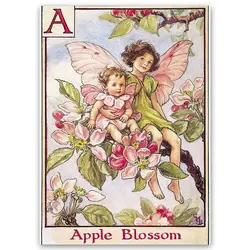 پوستر پری کد fairypo1