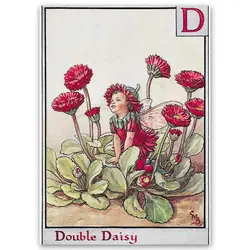 پوستر پری کد fairypo4