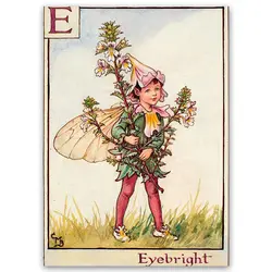 پوستر پری کد fairypo5