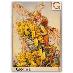 پوستر پری کد fairypo8