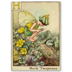 پوستر پری کد fairypo6